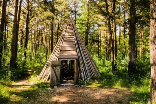 How to Build a Survival Shelter
