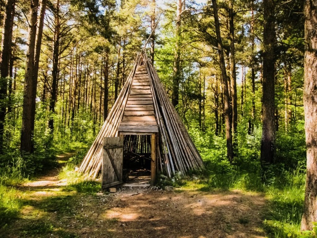 How to Build a Survival Shelter